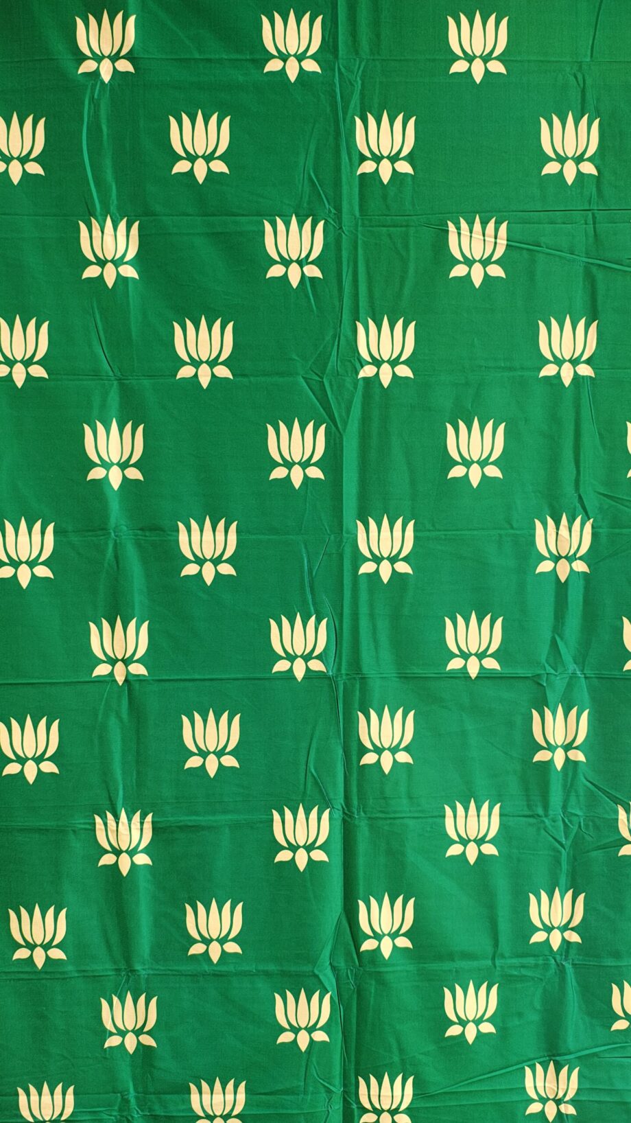 4'x8' Green Lotus Backdrop (Crush Cloth)