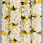 Pair of White Petal Garlands with Green-Yellow Pineapple Cut Bunches